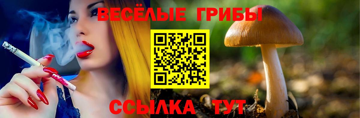 Псилоцибиновые грибы Cubensis  Вход с VPN  Ливны 